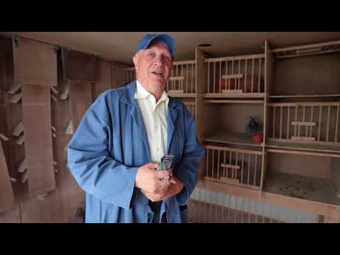 Nationale winnaars ZLU 2016 Agen oud