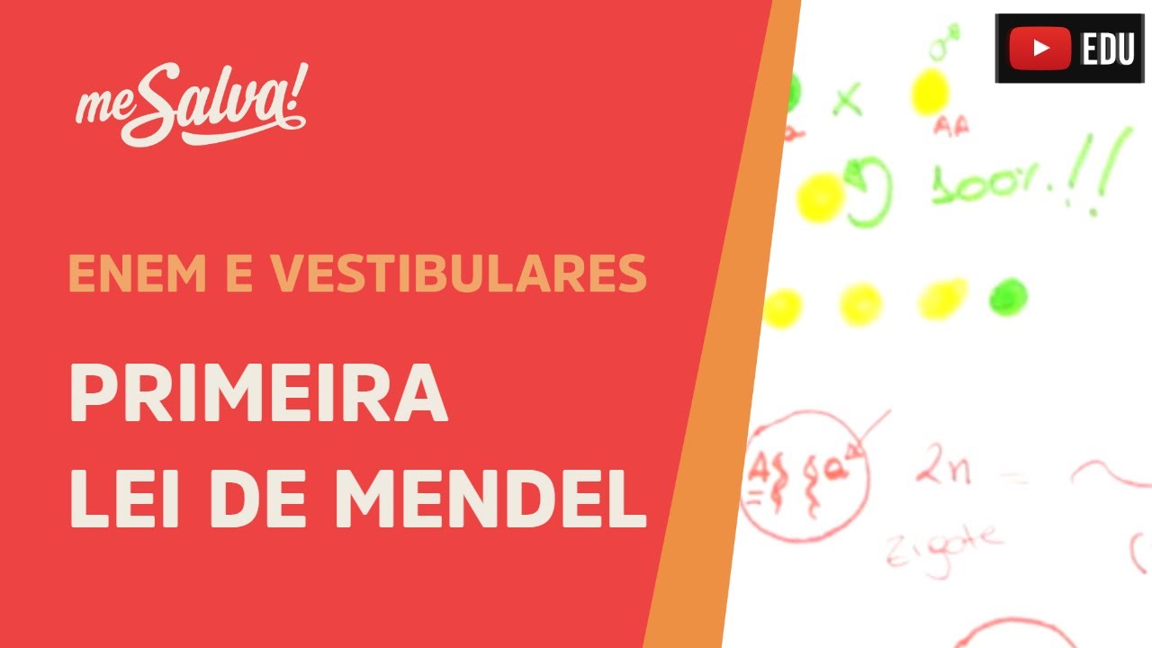 Me Salva! GEN08 - Genética - Primeira Lei de Mendel