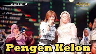 Download lagu Nunung Alvi Pengen Kelon Cipt.  Suka Wijaya. mp3