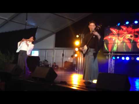 Japan Festival in Amstelveen