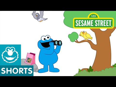 Sesame Street: Fly Away Cookie | Me Want Cookie #4