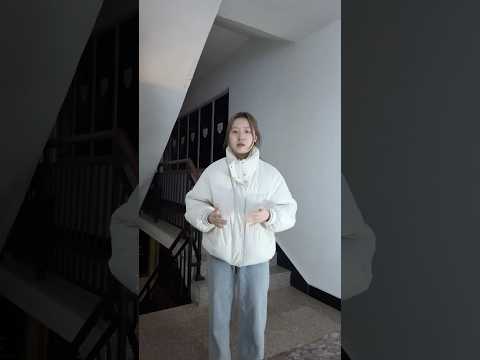 비디오 12