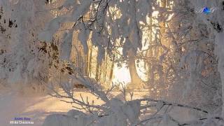 ✿ ♡ ✿ André Rieu - White Christmas