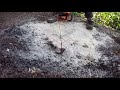 How To Make A Tree Stump Disappear In Just A Few Minutes