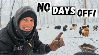 When Winter Storms Arrive: Farm Operations Continue!