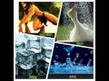 I Do Cantonese 0031 What Challenge Does Tarzan Take Ice Bucket Challenge