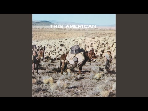 If I Had You - Joe Purdy