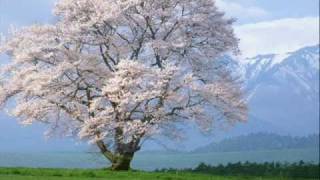 If I Loved You - Paul Bley