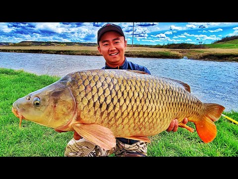 Finding Massive Spring Carp and Pike in Saskatchewan Canada (New PB Caught)
