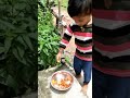 Chusi Rammante Kalchi Asthadu Ma Vodu