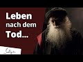 Leben Und Tod Was Passiert Nach Dem Tod
