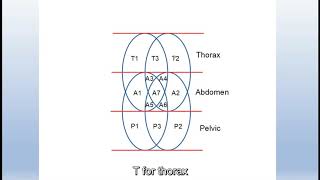 Download lagu MAP THE 4 ELLIPSE INTO THE BODY | GANOTHERAPY | DATUK DR. LIM SIOW JIN mp3