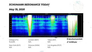 Schumann Resonance Today 24/7 Live Graph