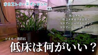 【メダカ】グラスアクアで実験？！ソイルと溶岩石での底面濾過飼育はどうなんだろ？結果はいかに