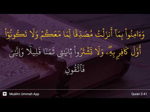 Al-Baqarah ayat 41
