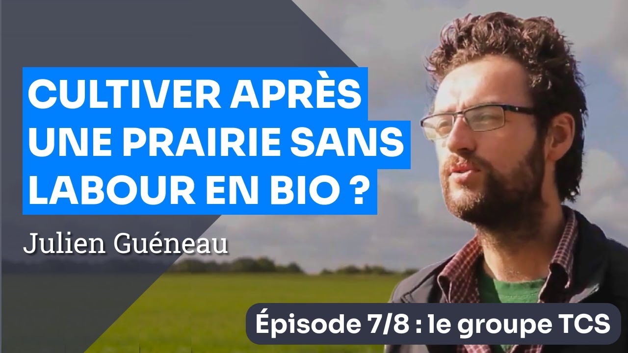 Épisode 7 : Le groupe d'échange TCS Bio de Vendée - Implanter une culture en Bio sans labour