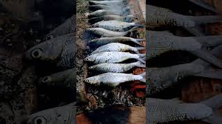Download lagu Bakar Ikan Bandeng Enak mp3 Download lagu Bakar Ikan Bandeng Enak mp3