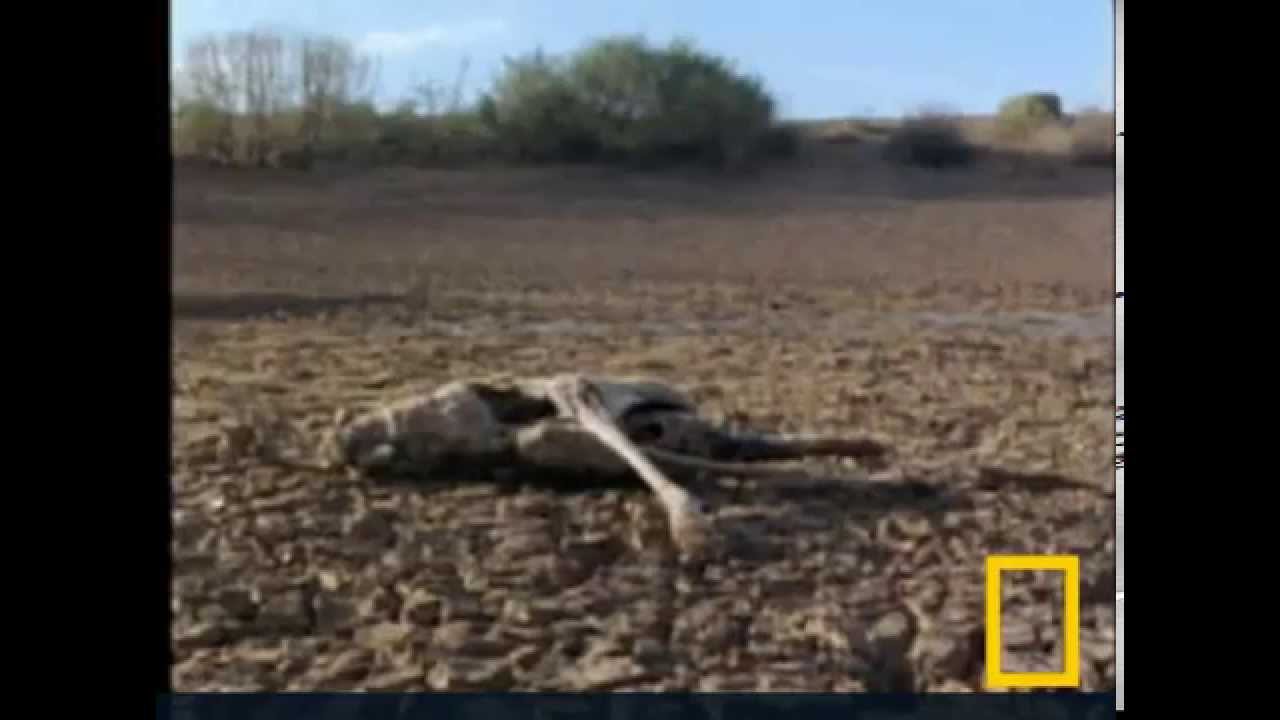 Droughts by Nat Geo
