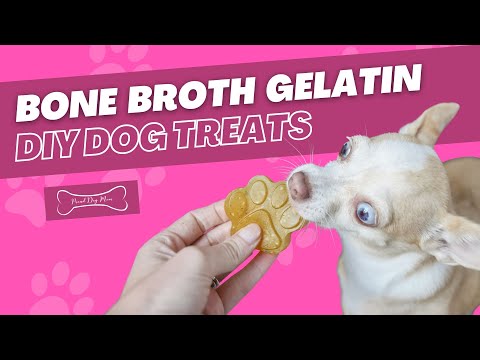 Bone Broth Gelatin DIY Dog Treats (Great for Senior Dogs) | Proud Dog Mom