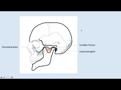 Heakyung Kim -Ultrasound workshop -Head and Neck Review