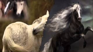 South of The Border   Montaż   Piotr Janczewski