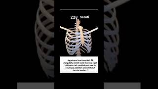 Download lagu Rahasia Jumlah Sendi Manusia yang Diberitakan Rasulullah ﷺ #Islam #MukjizatNabi #SendiManusia mp3 Download lagu Rahasia Jumlah Sendi Manusia yang Diberitakan Rasulullah ﷺ #Islam #MukjizatNabi #SendiManusia mp3