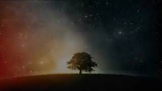 Jordin Sparks - 11:11 (Wish)