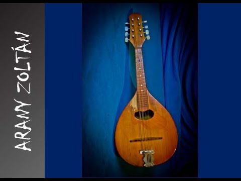 Instrument presentation 5