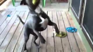 Super aggressive Posey and the ball of destruction