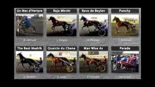 preview picture of video 'N°7- Punchy - 92eme Grand Prix d'Amerique 2013 - Hippodrome Paris-Vincennes - Be Leader'
