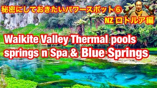 Waikite valley Thermal Pools Springs n Spa & Blue Springs🌈