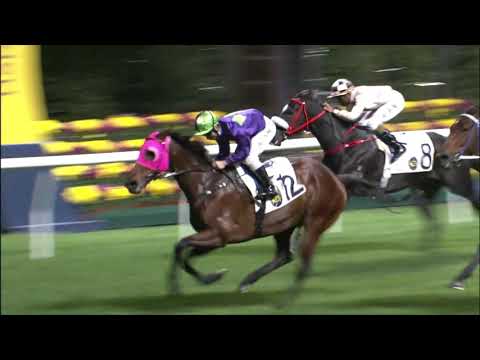 13/1/2021 (337) Universal Go Go - Matthew Poon