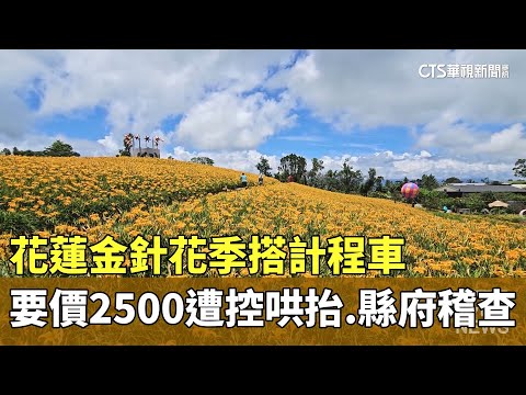 花蓮金針花季搭計程車要價2500遭控哄抬　縣府稽查