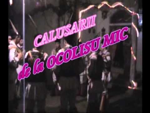 Calusari la Ocolisu MIC