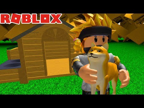 My New Pet Roblox 501 Roblox Video - 