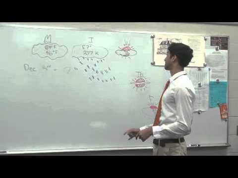 Weekly Weather Report