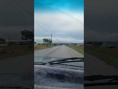 Guiratinga mato grosso