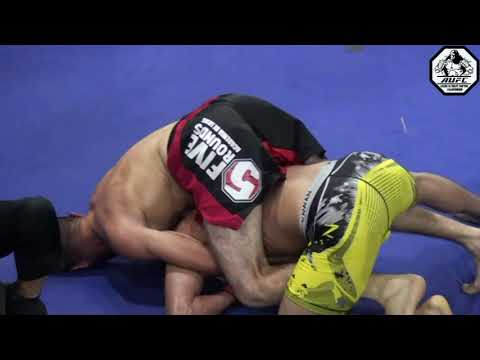 Saleem albakri 🆚 mahmod jamal _MMA