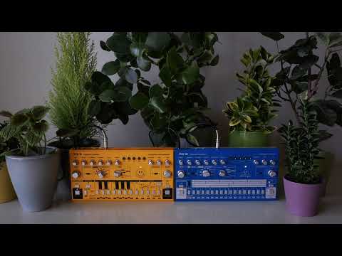 Snot Monkey - Acid 046 (Behringer TD-3 & RD-6) (Minimal Acid)