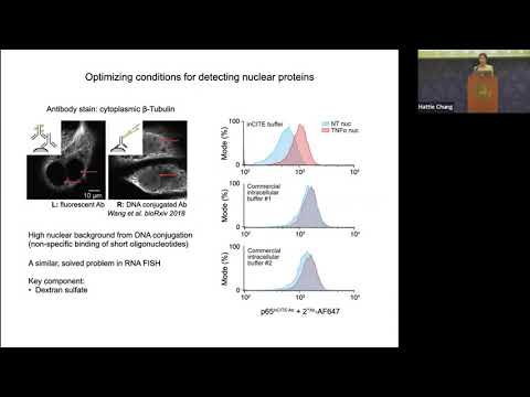 Simultaneous single cell measurements of intranuclear proteins and gene expression | Hattie Chung