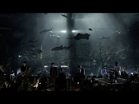 넬(NELL) - Slip Away (NELL 空間 Part 1. Live at Aqua Planet)