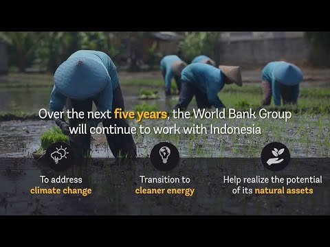 The World Bank Group Country Partnership Framework 2021-2025 for Indonesia