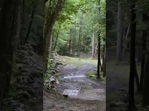Flippiest Disc Ever?? 😂 #discgolf