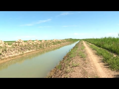 Ол өзінің кискасын жалап, менің мүшемді сорғызды