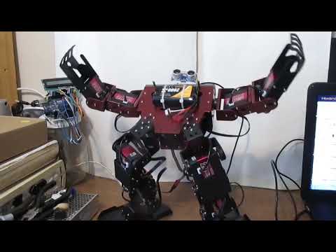 Hiwonder RoboSoul HS5 Humanoid Robot Demo
