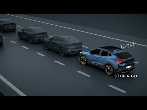 Driving assistance system Travel Assist System.