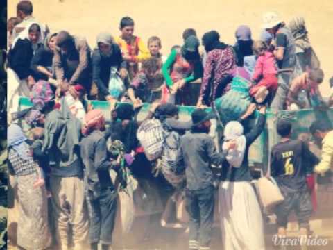 Shingal - Elind Shingal