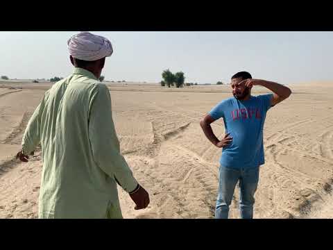 Farming new forest || Safeeda ka jangal || Eucalyptus farming