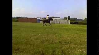 Brighter Lights (Lady)