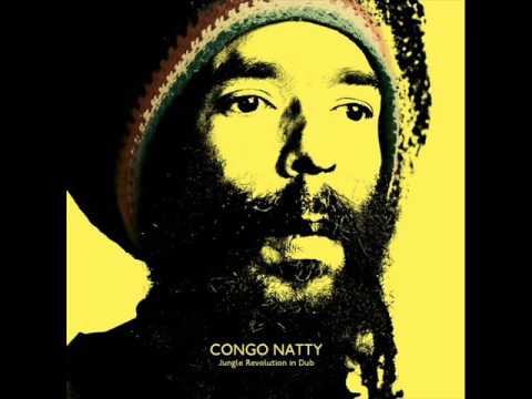Congo Natty - Revolution In Dub (DJ Madd Remix)